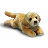 Yomiko Yomiko Yellow Lab by Russ