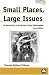Small Places, Large Issues: An Introduction to Social and Cultural Anthropology (Anthropology, Culture and Society)