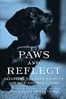 Paws and Reflect: A Special Bond Between Man and Dog