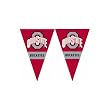 Ohio State Buckeyes NCAA 25Ft String Of 6 x 9 Party Pennants (Flags) by BSI Products Inc.