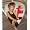 Tina Turner Premuim Guitar Picks