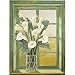 Calla Lily In Window Print