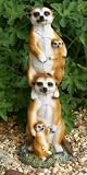 Meerkat Family