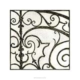 Iron Gate I - Poster by Megan Meagher (24 x 24)