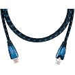 Denon AKDL1 Dedicated Link Cable ~ Denon