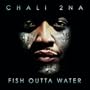 Fish Outta Water