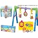 Musical Play Gym [Toy]