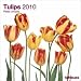 2010 Tulips Wall Calendar