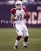 Matt Leinart Arizona Cardinals 8x10 Photo