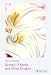 Georgia O'keeffe And Alfred Stieglitz (Pegasus Series)