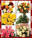 6 Months of Flowers