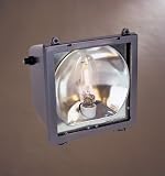 Metal Halide 175 Watt Area Security Lamp
