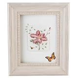 Lenox Butterfly Meadow Framed Plaque