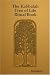 The Kabbalah Tree of Life Ritual Book