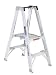 Tools & Hardware : Werner PT372 2-Foot 300-Pound Duty Rating Twin Step Aluminum Stocker's Ladder