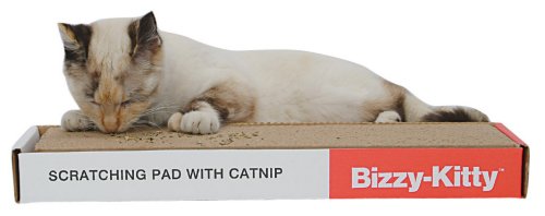 Childrens Toyshop  Pet Supplies : Bizzy Kitty Scratching Pad