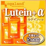 �I�[�K�����h�@�􃋃e�C���{���y5�Z�b�g�E5�������z