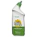 GreenWorks Toilet Bowl Cleaner, 24 Oz (Pack of 12)