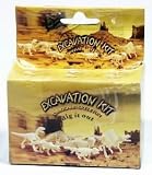 Toys : Small Dinosaur Skeleton Excavation Kit