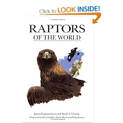 Raptors (Houghton Mifflin) (ID Guide)