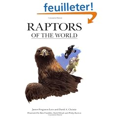 Raptors of the World