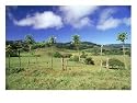 Central Valley, Costa Rica Subject Photographic Poster Print by John Anderson, 16x12