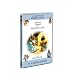 Beatrix potter : Pierre et Jeannot lapin