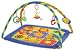 Bright Starts Sunny Friends Play Gym