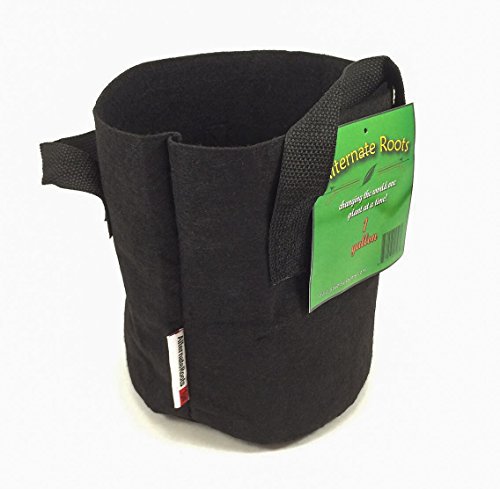 Plant & Flower Pots By Alternate Roots - Grow Pots: The Innovative Hydroponics Growng System - Better, Faster, Healthier Growth - Indoors Or Outdoors - 1 Gallon Modern Decorative Potting Bags