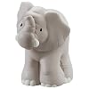 Mattel W2587 - Fisher Price Zoo-Tiere (sortiert, 1 St�ck, Vorauswahl nicht m�glich)