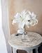 (16x20) Amelie Vuillon White Lilies Art Print Poster