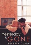Yesterday Is Gone (Indigo)