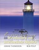 Experiencing Introductory and Intermediate Algebra (2nd Edition)