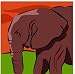 Elephant Clip Art & Stock Photo Image CD