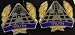 OPERATIONAL TEST EVALUATION Distinctive Unit Insignia - Pair