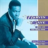 Review Marvin Gaye  / Seek and You Shall Find - More Best of Marvin Gaye: 1963-81