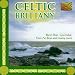 Ruz bleizi & gwendal & dan ar bras, Celtic brittany