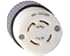 Socket, NEMA L14-30 30 Amp, 125/250V Twist Lock