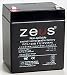 12 Volt 5 Ah Alarm Battery (12v5ah , 12 V 5 Amp Hour , 12v 5ah)
