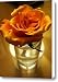 Las Vegas Rose Canvas Print / Canvas Art - Artist Tamara Stoneburner