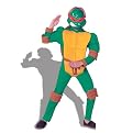 Ninja Turtle Raphael Deluxe Costume - Child
