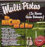KARAOKE MUSIC:MULTI PISTAS UN NICHO EN EL BAR