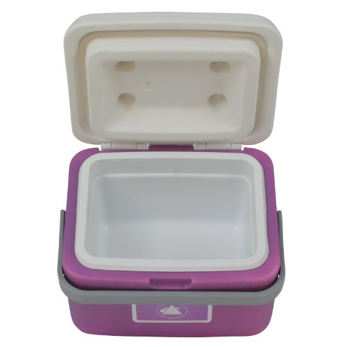 10T Fridgo 5 Glacière passive Lavande/Gris Clair 27 x 22 x 19,5 cm