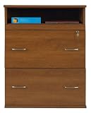 Review Ameriwood 64825 / Later File Cabinet