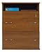 Later File Cabinet