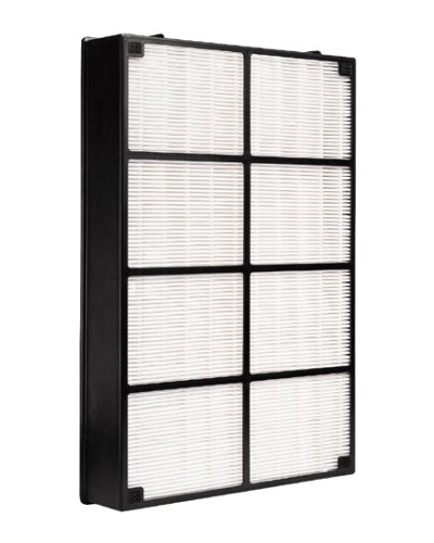 Hamilton Beach 04913 TrueAir HEPA Replacement Filter for 04162 and 04163 Air Cleaners