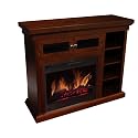 Vendor Development Group Parkview Electric Fireplace/Heater