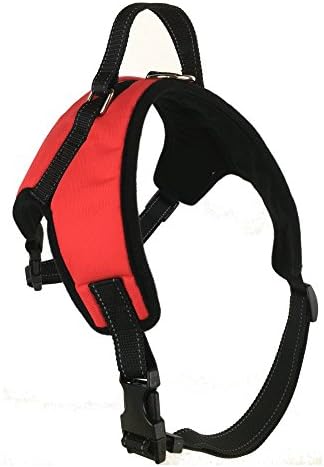 Sir Wag No-Pull Dog Leash Harness for Walking or Training and Pet Selfie Clip - 2 Item Bundle (Large, Red)