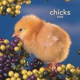Chicks 2008 Wall Calendar