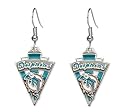 Miami Dolphins Dangle Earrings - NFL Football Fan Shop Sports Team Merchandise